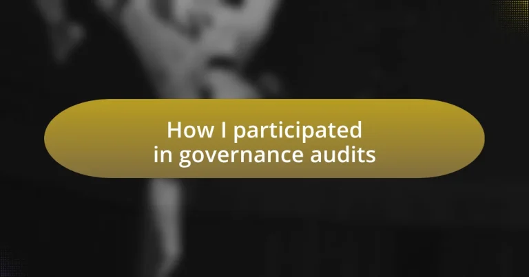 How I participated in governance audits