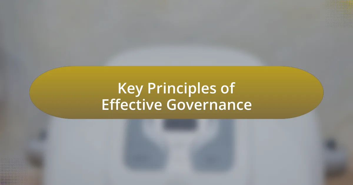 Key Principles of Effective Governance