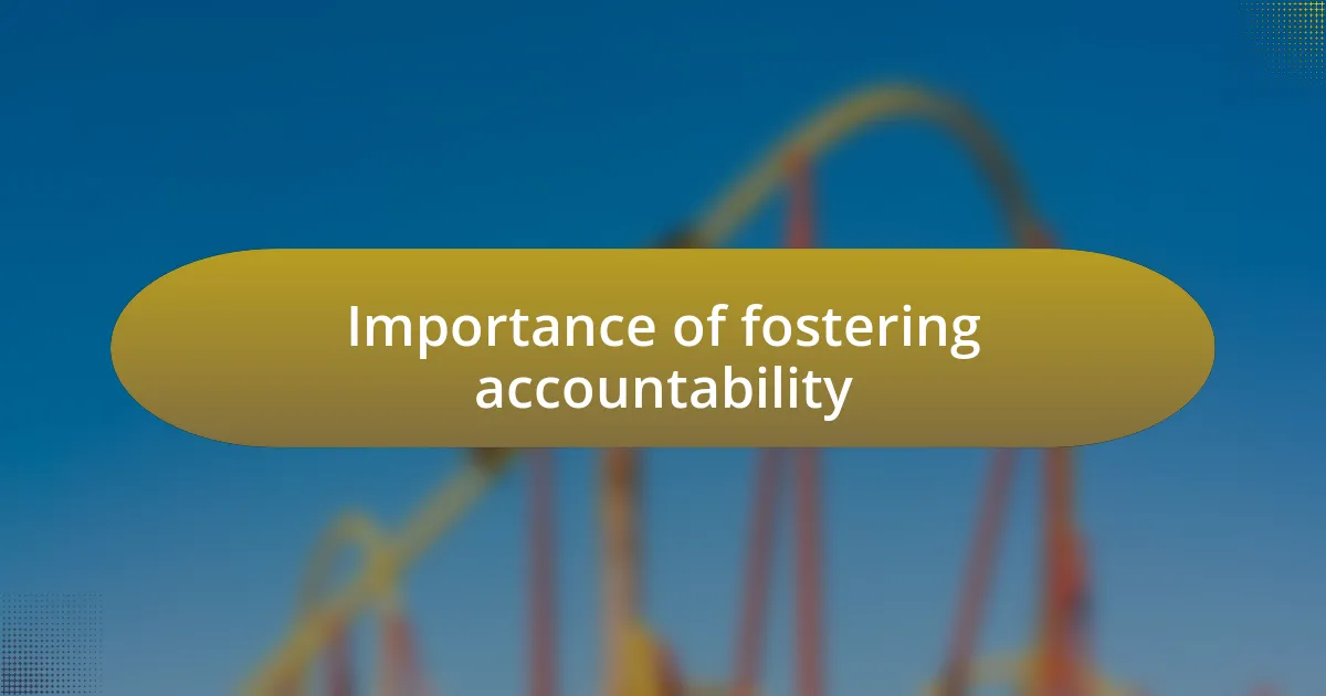 Importance of fostering accountability