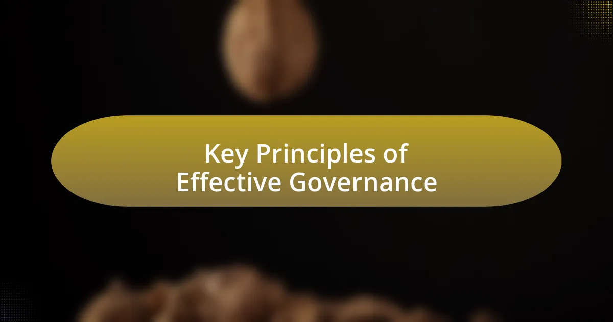 Key Principles of Effective Governance